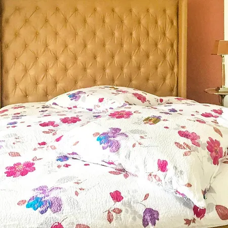 公寓 With 2 Bedrooms In Meissen, With Wonderful City View And Wifi