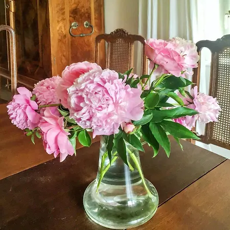 公寓 With 2 Bedrooms In Meissen, With Wonderful City View And Wifi Meißen